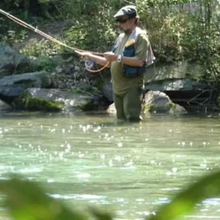 Klopeinersee Kaernten Feriehus Sittersdorf