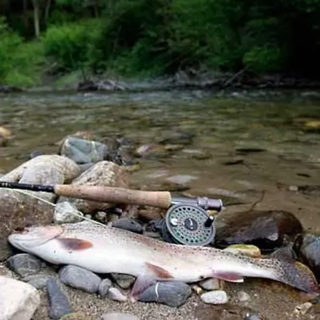 Feriehus Klopeinersee Kaernten Sittersdorf