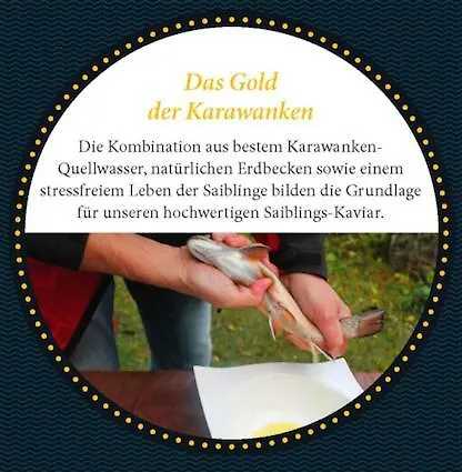 Klopeinersee Kaernten Feriehus *