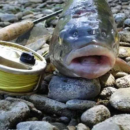 Klopeinersee Kaernten Feriehus