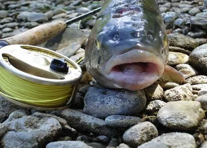 Klopeinersee Kaernten 別荘